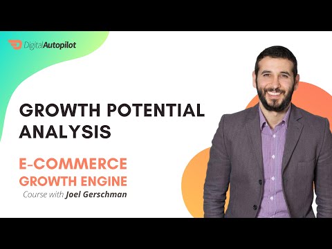 Leveraging the 3 Core Drivers of Profit to Grow your Ecommerce Business
